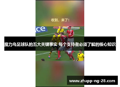 魔力鸟足球队的五大关键事实 每个支持者必须了解的核心知识 魔力鸟足球队的五大关键事实 每个支持者必须了解的核心知识